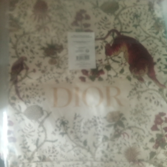 NWT DIOR TOTE. - Picture 4 of 5